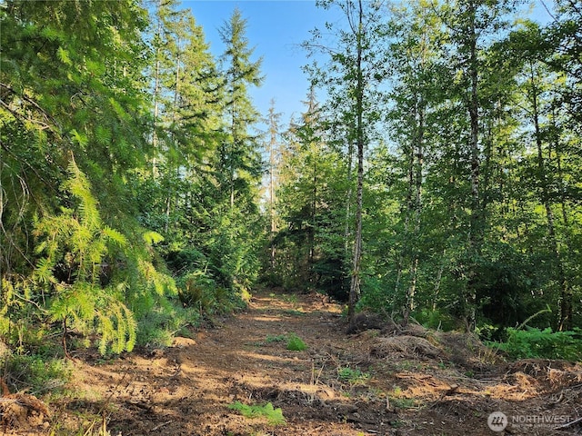 0 Rocky Brook Rd Lot I, Lot I, Brinnon, WA 98320 - photo 7