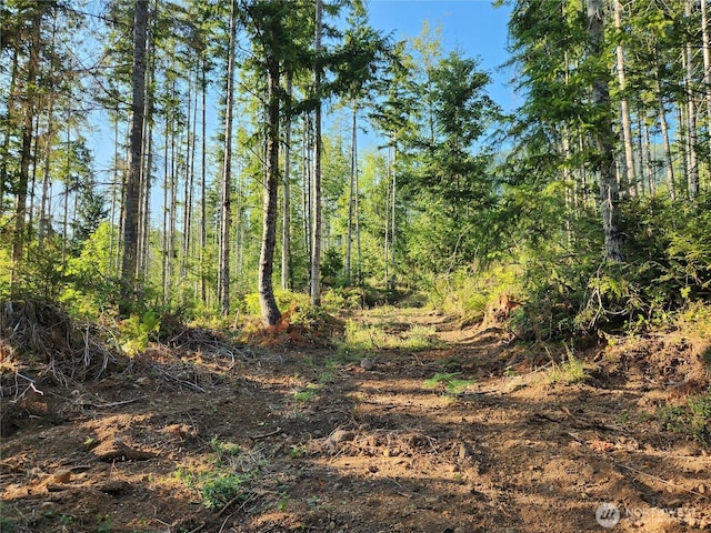 0 Rocky Brook Rd Lot I, Lot I, Brinnon, WA 98320 - photo 9