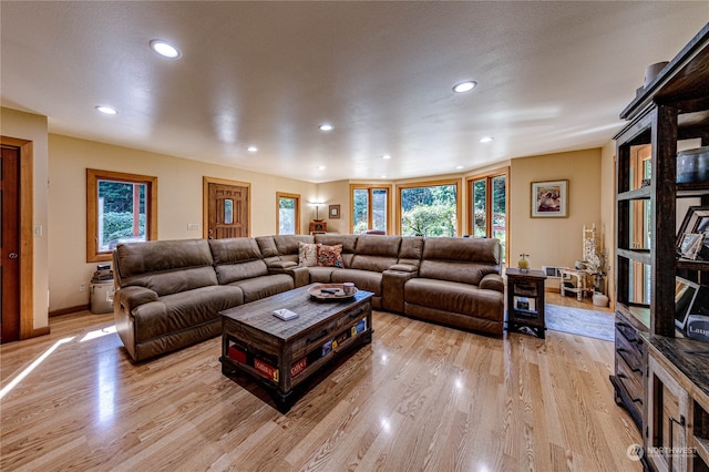 living room with light wood-type flooring and a healthy amount of sunlight