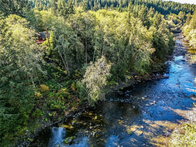 107 Dowans Creek Rd, Forks, WA 98331 - water view with a forest
