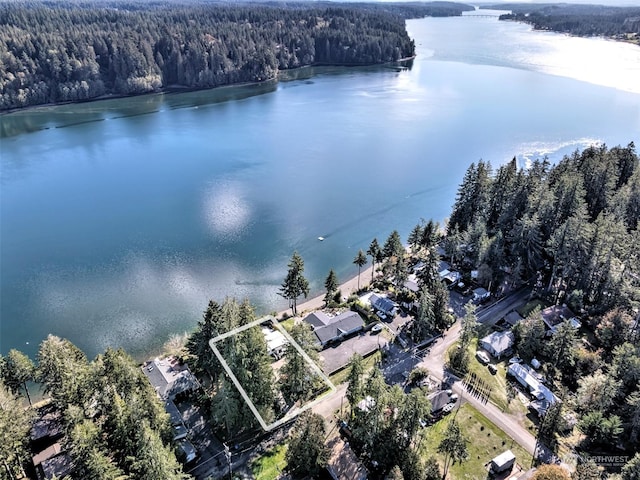 aerial view with a water view and a wooded view