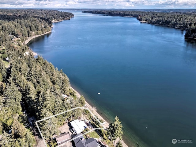 drone / aerial view with a view of trees and a water view