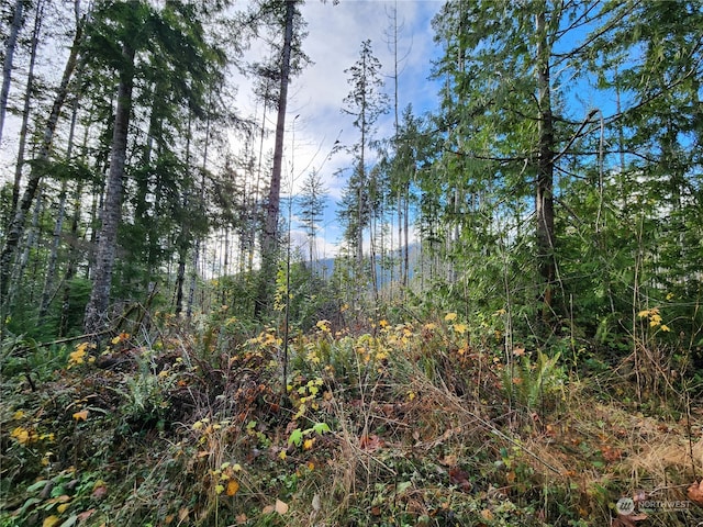 Listing photo 3 for 0 Rocky Brook Rd Lot J, Lot J, Brinnon WA 98320