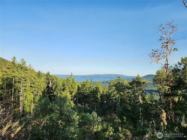 0 Rocky Brook Rd Lot J, Lot J, Brinnon, WA 98320 - photo 1