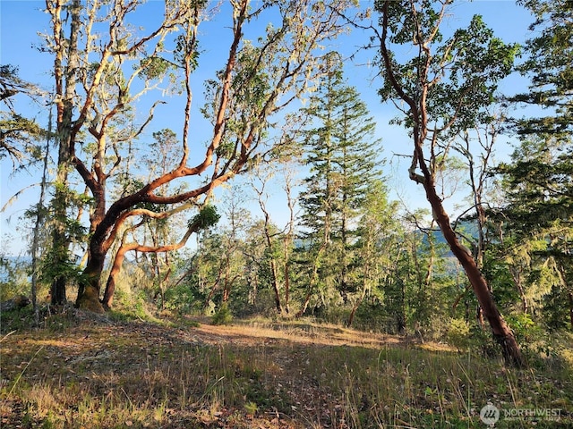 0 Rocky Brook Rd Lot J, Lot J, Brinnon, WA 98320 - photo 3