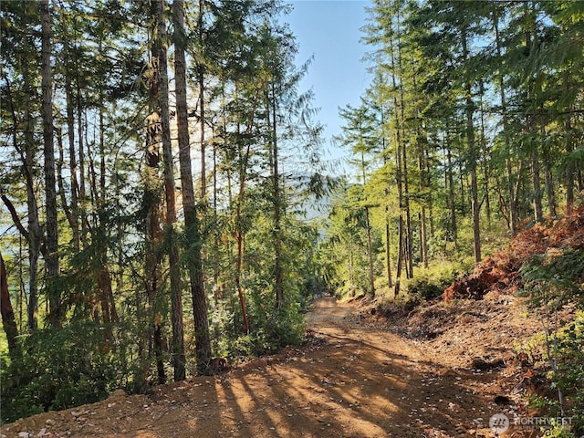 0 Rocky Brook Rd Lot J, Lot J, Brinnon, WA 98320 - photo 5