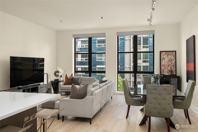 living room featuring light hardwood / wood-style flooring