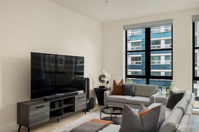 living room featuring light hardwood / wood-style floors