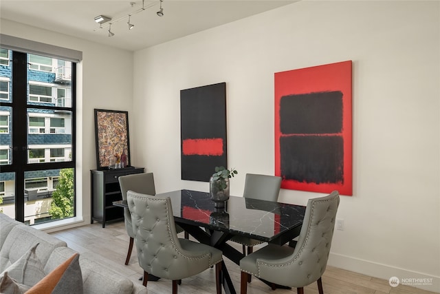 dining space featuring light hardwood / wood-style floors and a healthy amount of sunlight