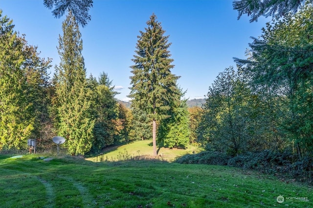 115 Ridgecrest Ln, Longview, WA 98632 - photo 32