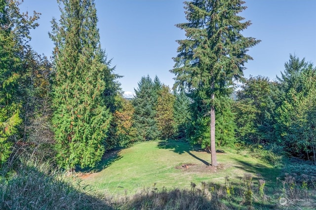 115 Ridgecrest Ln, Longview, WA 98632 - photo 35