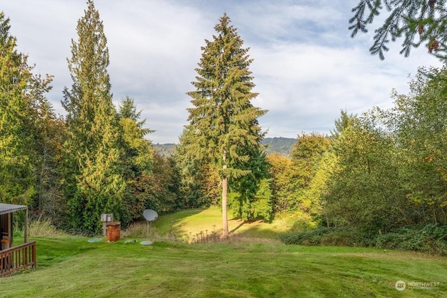 115 Ridgecrest Ln, Longview, WA 98632 - photo 36