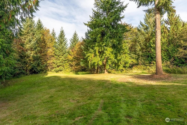 115 Ridgecrest Ln, Longview, WA 98632 - photo 37