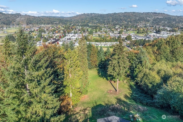 bird's eye view with a mountain view