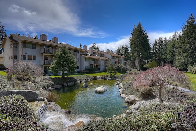 water view with a garden pond
