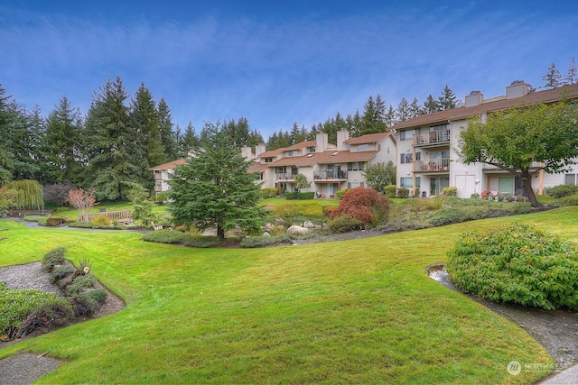view of community featuring a yard