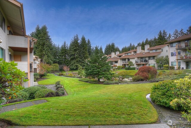 view of property's community featuring a yard and a residential view