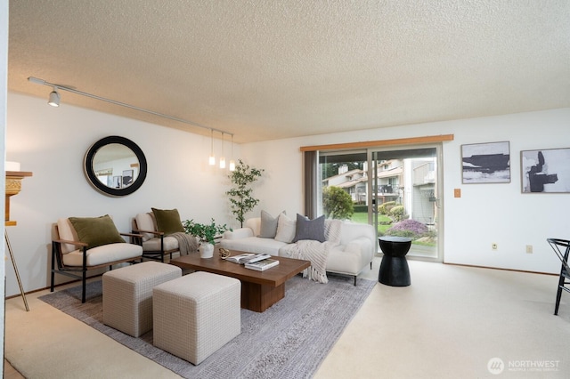 living area with carpet floors, a textured ceiling, and track lighting