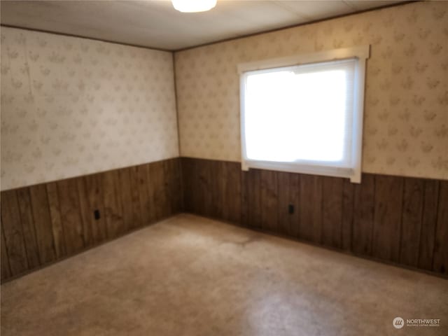 carpeted empty room with wooden walls