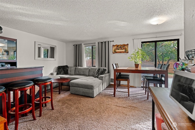 living room with carpet, a textured ceiling, and plenty of natural light