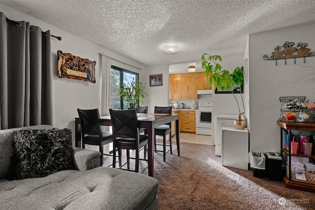 carpeted dining area with a textured ceiling