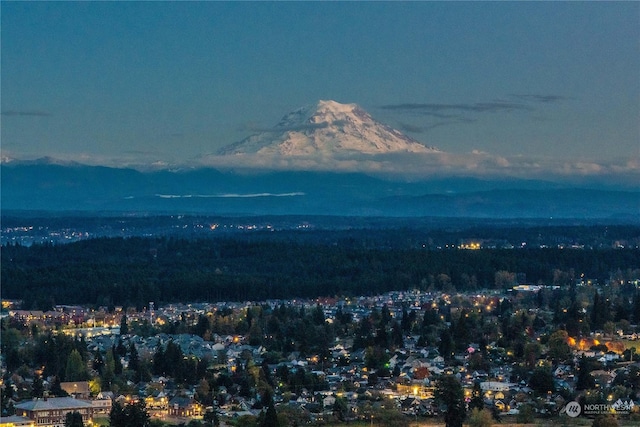 3201 Pacific Ave Unit 1201, Tacoma, WA 98418 - view of mountain backdrop