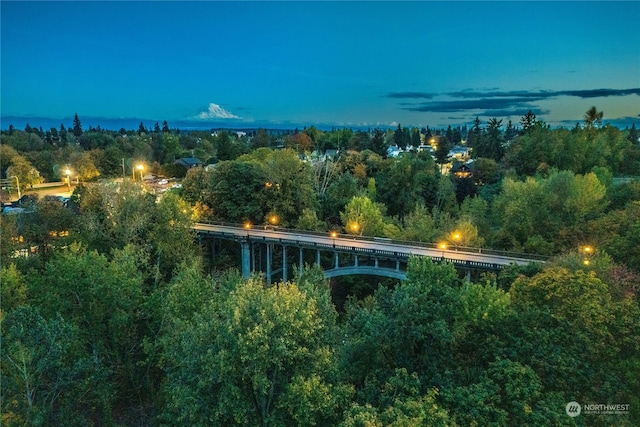 view of aerial view at dusk