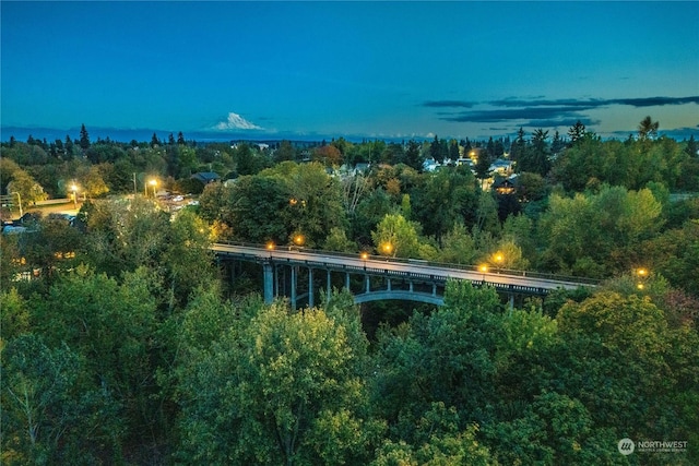 3201 Pacific Ave Unit 1201, Tacoma, WA 98418 - aerial view of property and surrounding area with a notable bridge