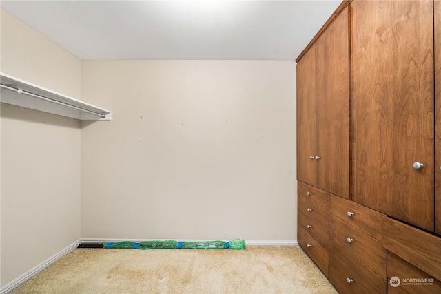 spacious closet with light carpet