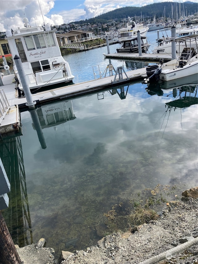 view of dock featuring a water view