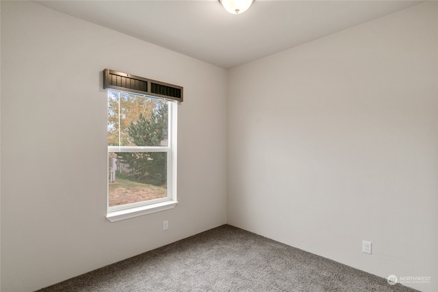 spare room featuring carpet flooring