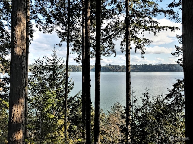 898 SE Dahman Rd, Shelton, WA 98584 - photo 2
