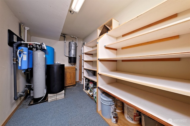 basement featuring dark colored carpet