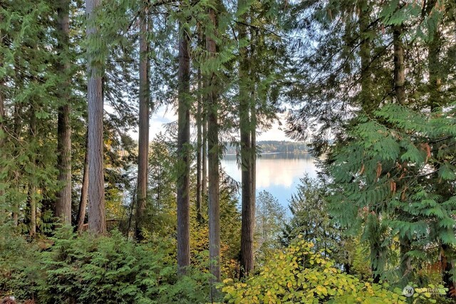 898 SE Dahman Rd, Shelton, WA 98584 - photo 39