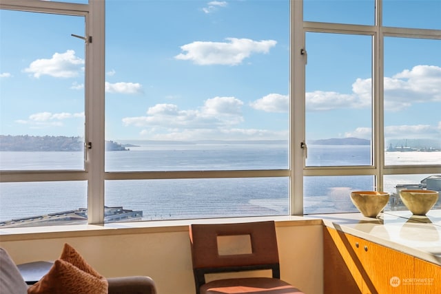 sunroom / solarium with a water view and a healthy amount of sunlight