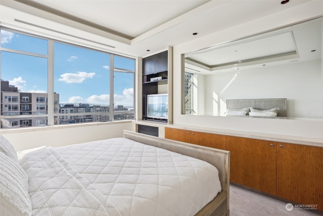 bedroom featuring light colored carpet and a raised ceiling