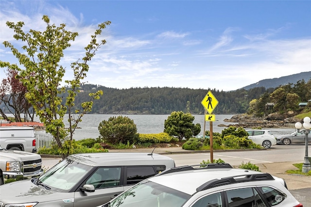199 Main St, Orcas Island, WA 98245 - photo 15