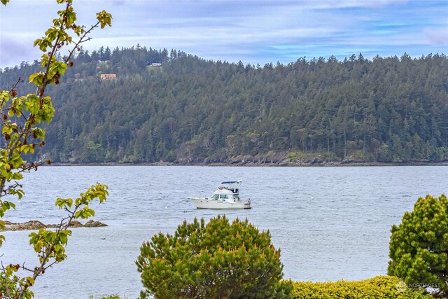 199 Main St, Orcas Island, WA 98245 - photo 23
