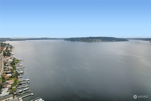 view of water feature