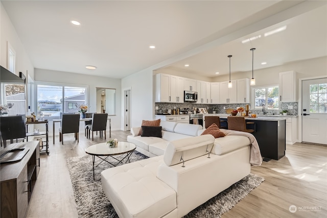 living room featuring light hardwood / wood-style flooring