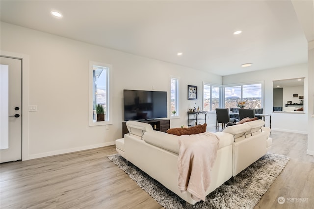 living room with light wood-type flooring