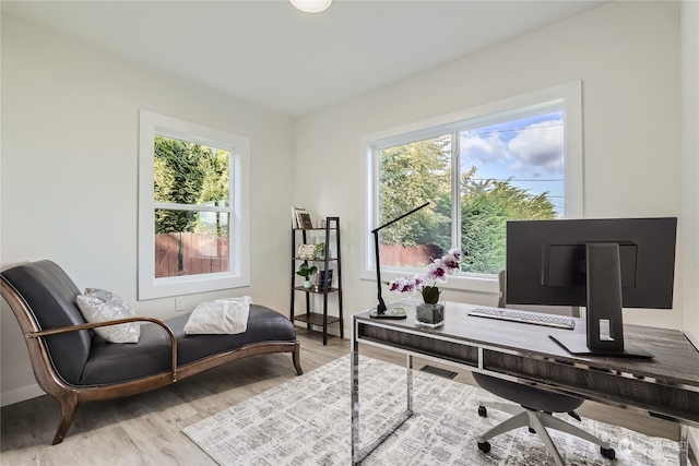 home office featuring wood-type flooring and plenty of natural light