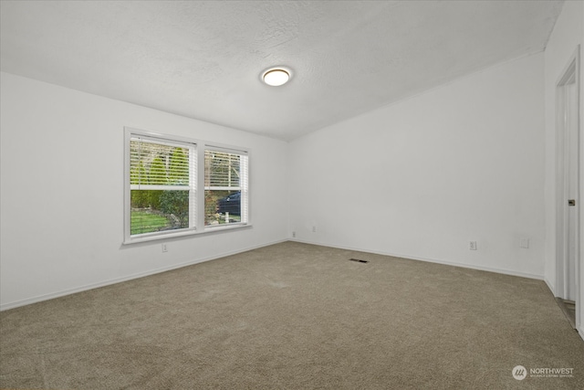 empty room with carpet flooring and a textured ceiling