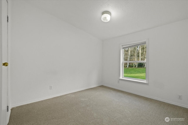 spare room featuring carpet floors