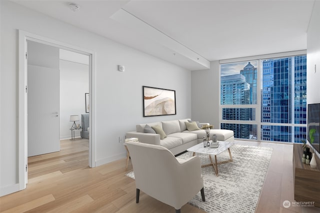 living room with light hardwood / wood-style floors and floor to ceiling windows