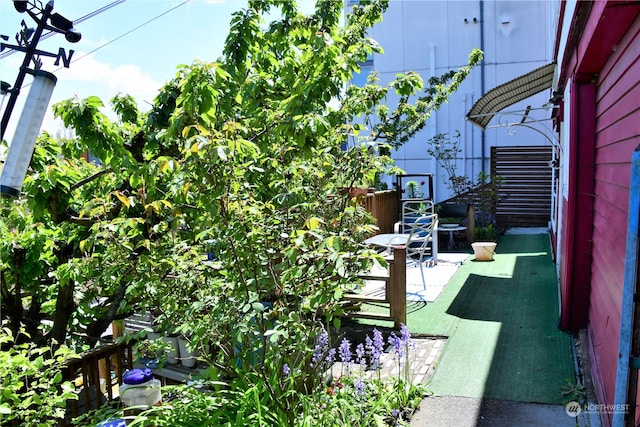 view of yard with a patio