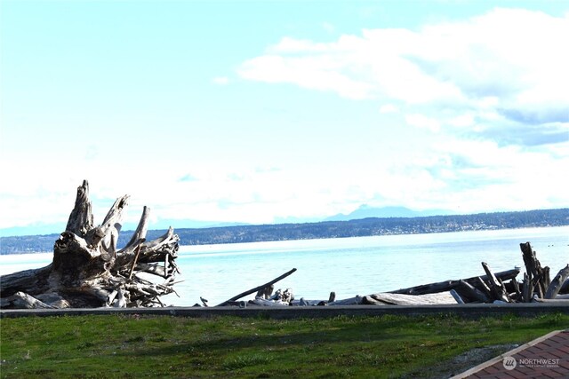 200 Driftwood Shores Rd, Camano Island, WA 98282 - photo 31