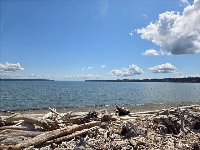 200 Driftwood Shores Rd, Camano Island, WA 98282 - photo 30