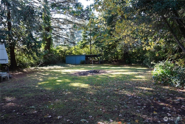 view of yard with a storage shed