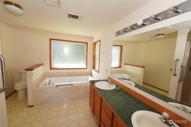 bathroom with vanity, toilet, and a bath